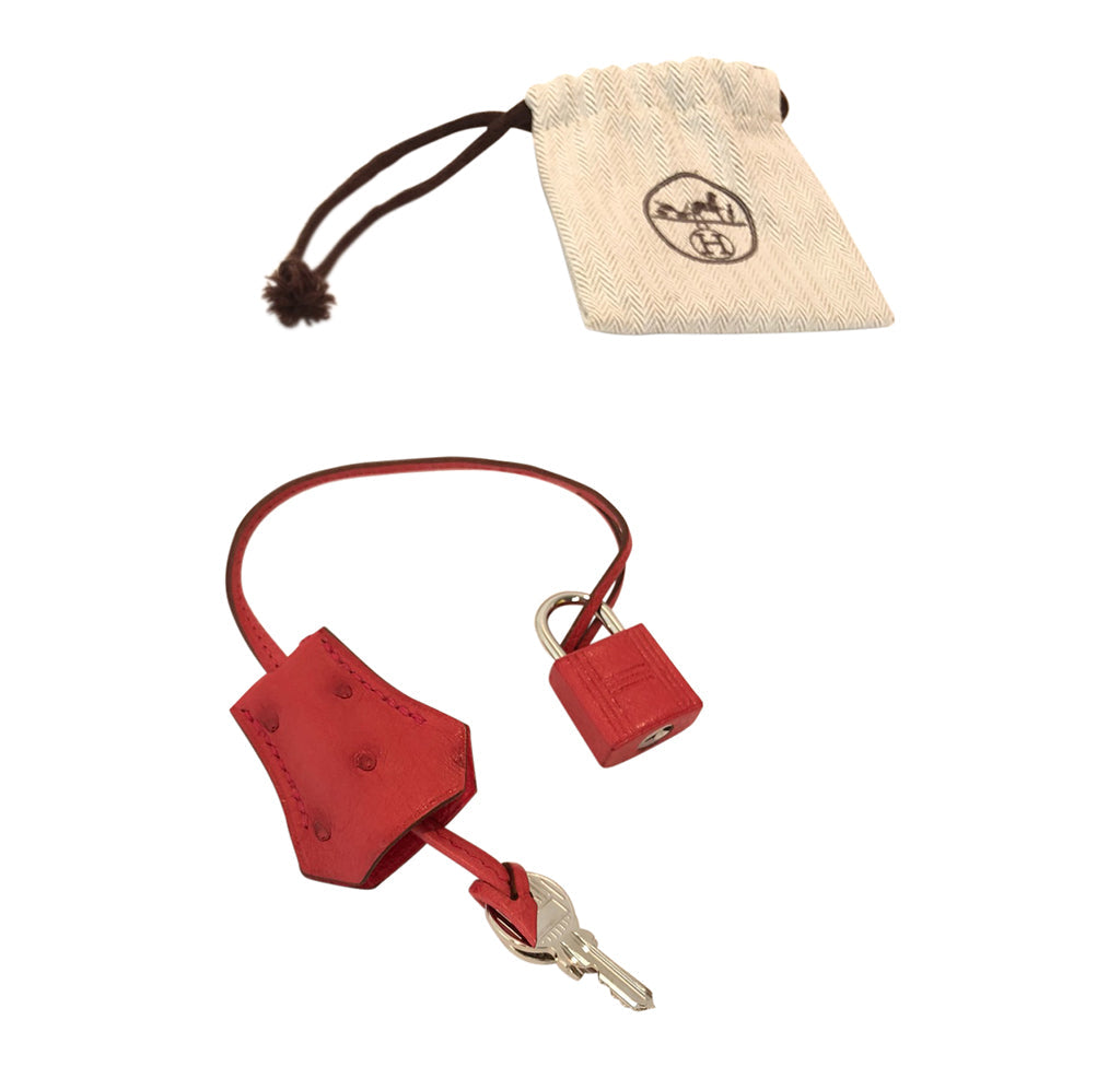Hermes Birkin 30 Ostrich Bougainvillea - Image 11