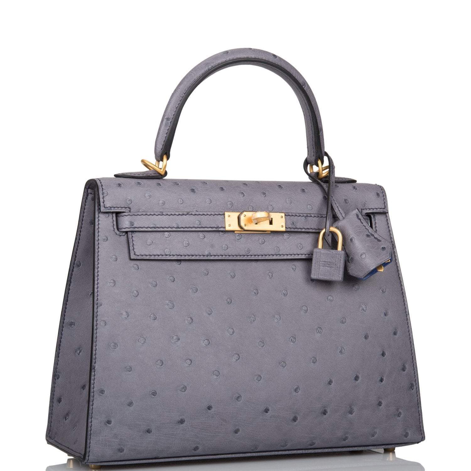 Hermes Horseshoe Stamp (HSS) Bi-Color Gris Agate and Bleu Electric Ostrich Sellier Kelly 25cm Brushed Gold Hardware - Image 2
