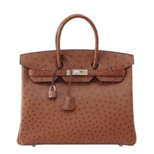 Hermès Birkin 35 Ostrich Etrusque Bag PHW