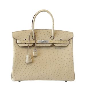 Hermès Birkin 35 Ostrich Parchemin Bag PHW