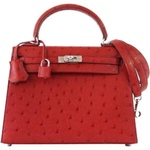 Hermes Kelly Sellier 25 Rouge Vif Ostrich Palladium Hardware
