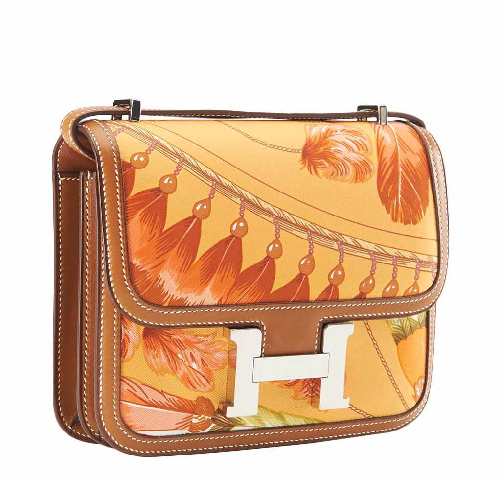 Hermes Constance Mini 18 Brasil Mangue Barenia Silk Swift Leather Palladium Hardware - Image 2