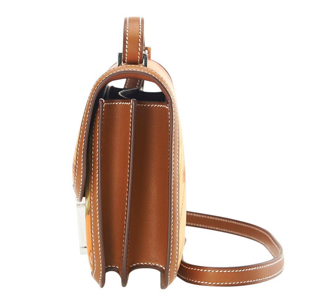 Hermes Constance Mini 18 Brasil Mangue Barenia Silk Swift Leather Palladium Hardware - Image 8