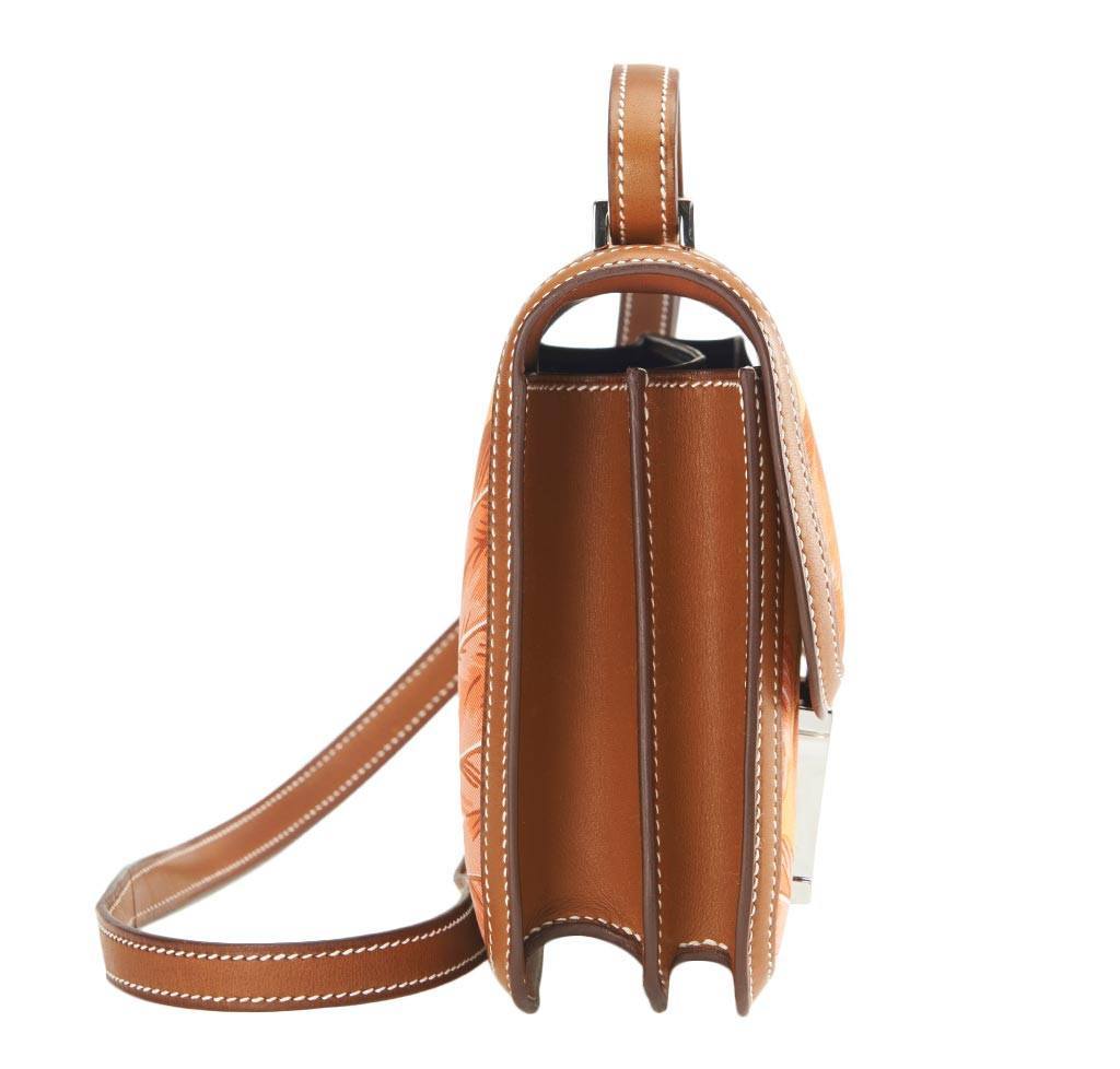 Hermes Constance Mini 18 Brasil Mangue Barenia Silk Swift Leather Palladium Hardware - Image 7