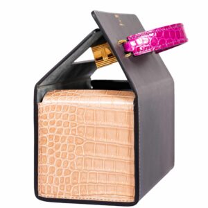 Hermes petit h Minaudiere Porosus Crocodile