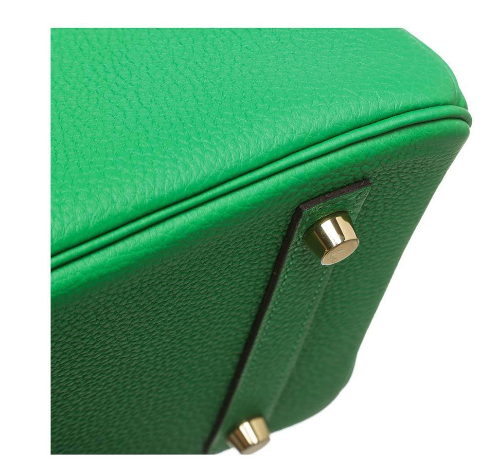Hermes Birkin 30 Bamboo Togo Leather Gold Hardware - Image 6